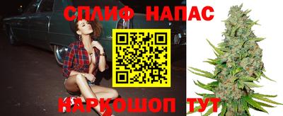 винт Анапа