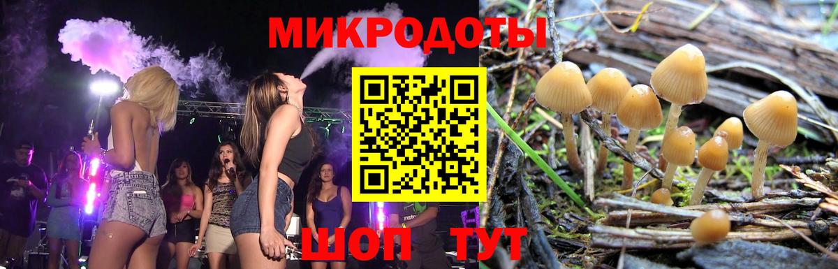 Галлюциногенные грибы мухоморы Барнаул